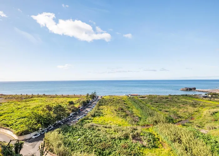 Paz E Sossego - By Wehost *